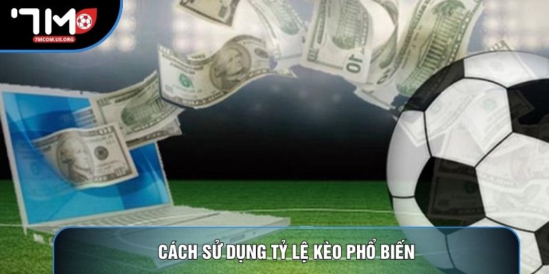 Cách sử dụng tỷ lệ kèo phổ biến Cách sử dụng tỷ lệ kèo phổ biến