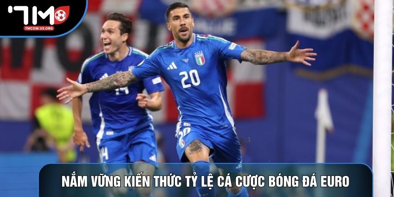 Nắm vững kiến thức tỷ lệ cá cược bóng đá Euro Nắm vững kiến thức tỷ lệ cá cược bóng đá Euro