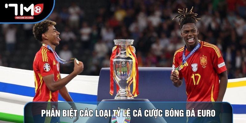 Phân biệt các loại tỷ lệ cá cược bóng đá Euro Phân biệt các loại tỷ lệ cá cược bóng đá Euro